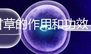 炙甘草的作用和功效(炙甘草的作用和功效與主治)