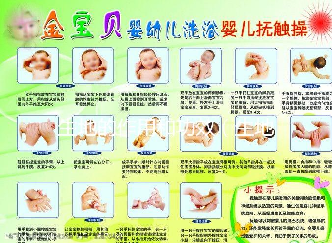 生地的作用和功效（生地的作用和功效與主治）