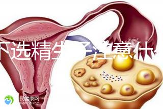 私下選精生子注意什么細節要早知，選擇正規機構最重要