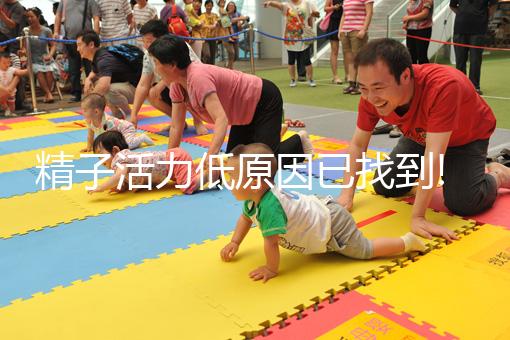 精子活力低原因已找到!跟你經(jīng)常做的這5件事有關(guān)