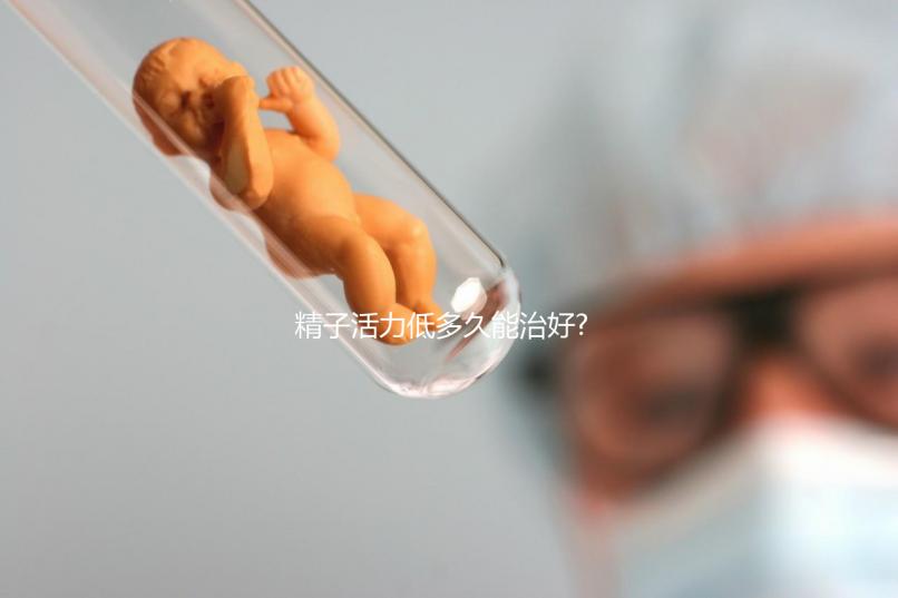 精子活力低多久能治好?快速恢復(fù)的3個(gè)訣竅就在這里了