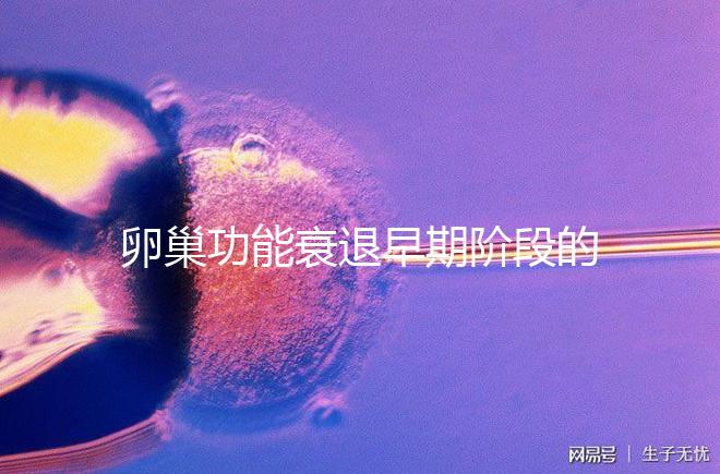 卵巢功能衰退早期階段的妊娠率釋疑，供卵試管嬰兒可>50%