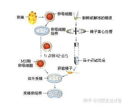 十月結(jié)晶和曼熙嬰兒浴盆誰好還不造，怎么換電池這篇文章說清楚