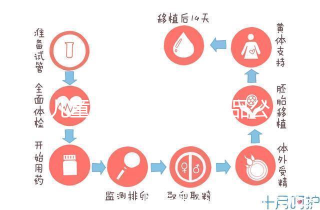 兒童牙膏十大國(guó)產(chǎn)產(chǎn)品公布，2024年哪些品牌看這個(gè)