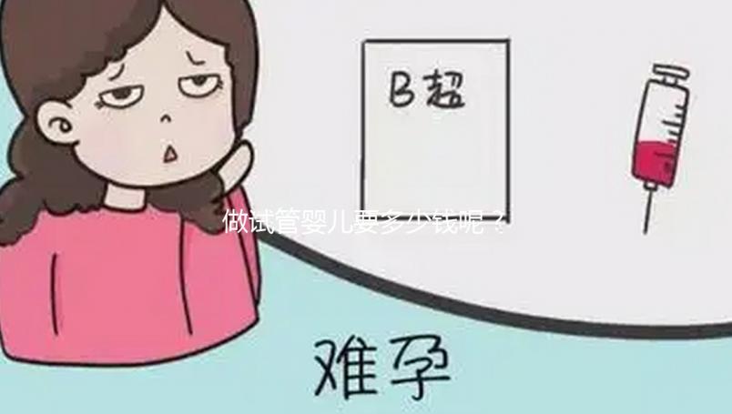 做試管嬰兒要多少錢呢？
