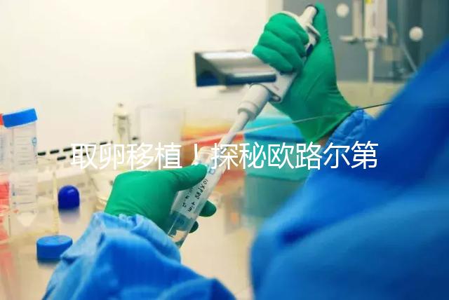 取卵移植！探秘歐路爾第三代試管嬰兒的流程