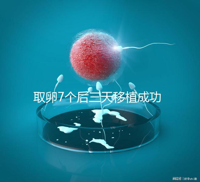 取卵7個后三天移植成功率真不低，關(guān)鍵要滿足這5大條件