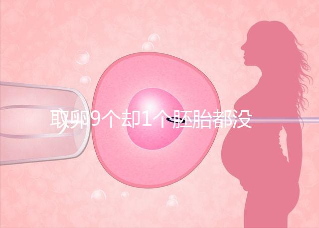取卵9個(gè)卻1個(gè)胚胎都沒有,33歲準(zhǔn)媽媽最后如何成功?