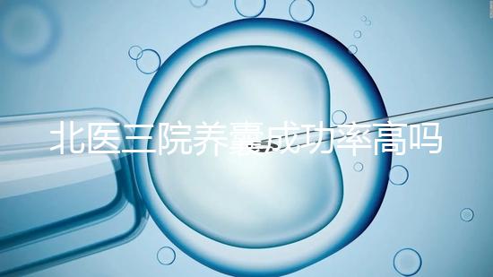 北醫(yī)三院養(yǎng)囊成功率高嗎?胚胎質(zhì)量才是關(guān)鍵因素