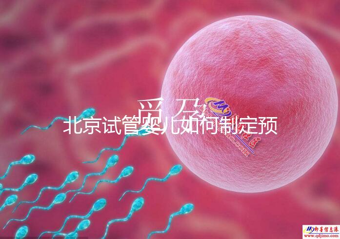 北京試管嬰兒如何制定預算，費用解析必看