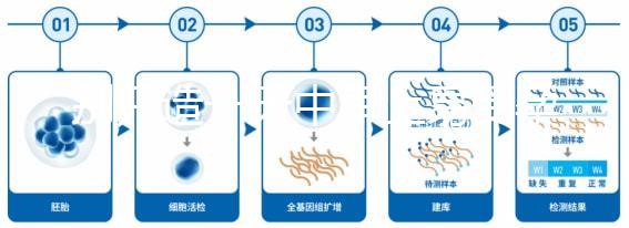 別只造一天中早上易受孕生男孩，60秒教你算出最佳同房時間