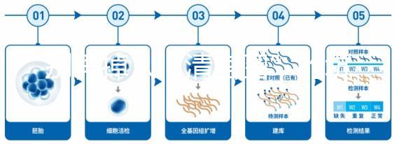 別再掉入“清宮圖”的坑中！備孕不應錯過女性最佳生育年齡