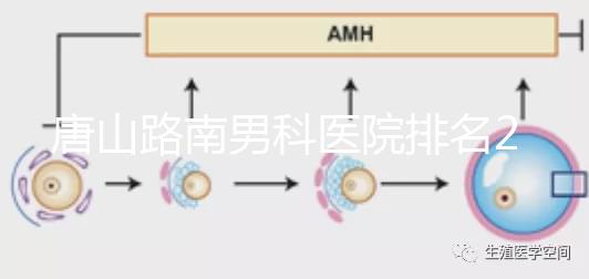唐山路南男科醫院排名2024，精度高，成本低...
