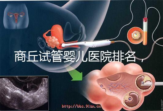 商丘試管嬰兒醫院排名，附3家公立機構助孕成功率和費用