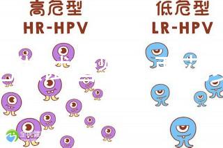 合肥做試管嬰兒要花多少錢？進(jìn)周期前這些注意事項(xiàng)都來看看