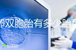 同卵雙胞胎有多少胎盤？1個or2個當場講給你聽