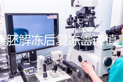 囊胚解凍后復(fù)凍需謹(jǐn)慎，這些對(duì)胚胎質(zhì)量的影響不可不知