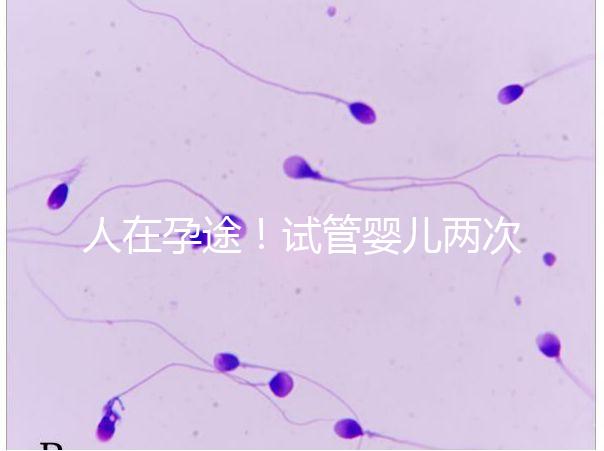 人在孕途！試管嬰兒兩次胎停育,了解這幾招能降低流產風險