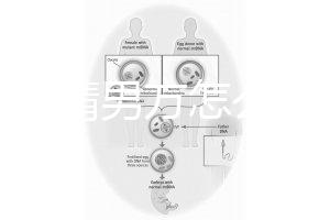人工授精男方怎么取精？2種取精過程分別適合不同人群