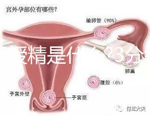 人工授精是什么?3分鐘讀完這篇文章，解答你所有疑問