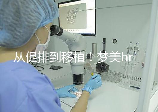 從促排到移植！夢(mèng)美hrc試管嬰兒流程共7步