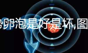 優(yōu)勢卵泡是好是壞,圖片僅供認(rèn)識,判斷還需要3點
