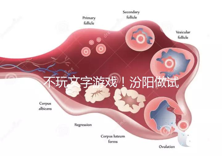 不玩文字游戲！汾陽做試管嬰兒成功率和費用一覽