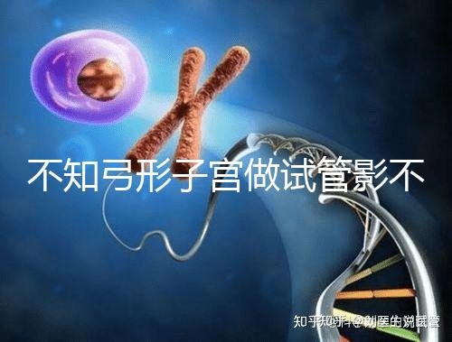 不知弓形子宮做試管影不影響移植速覽，有多危險(xiǎn)趁早了解