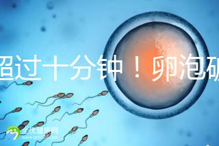 不超過十分鐘！卵泡破裂到輸卵管的時間，備孕必收藏