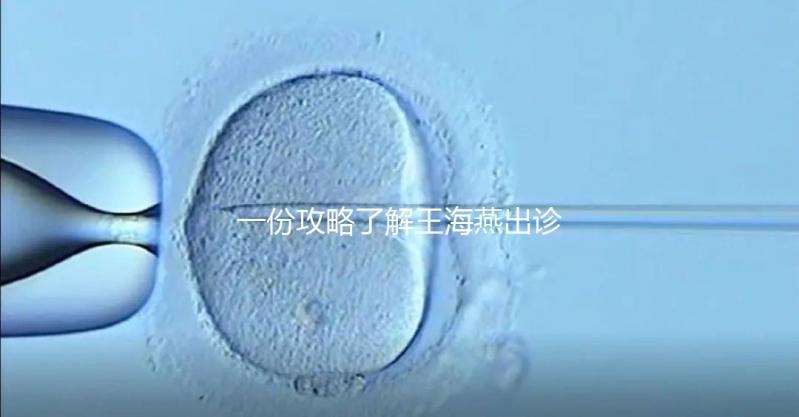 一份攻略了解王海燕出診表，讓你在北醫三院掛號更簡單