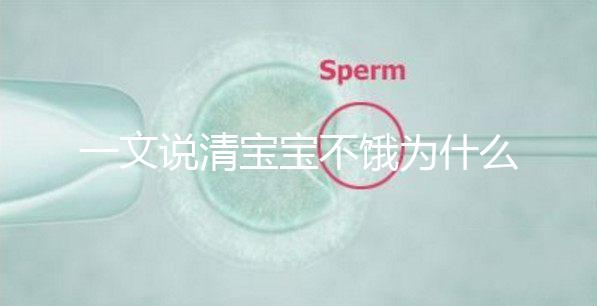 一文說清寶寶不餓為什么瘋狂找奶，找準原因才好解決