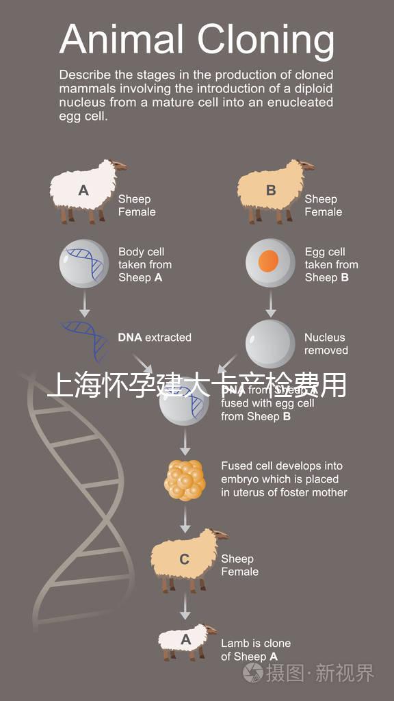 上海懷孕建大卡產(chǎn)檢費用分享，不同地區(qū)收費標準差別大！