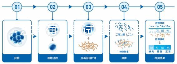 東莞有幾家試管嬰兒醫(yī)院？不同生殖中心費用和成功率詳解