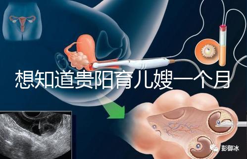 想知道貴陽育兒嫂一個月戳多少錢，云巖2萬夠不夠