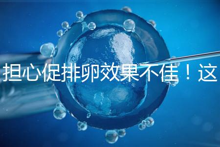 擔心促排卵效果不佳!這幾個“養卵”方法請收下
