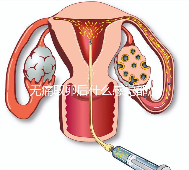 無痛取卵后什么感覺都沒有異常是謠言！只會出現一部分...