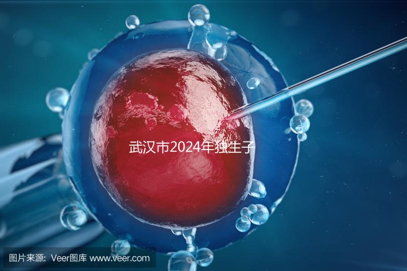 武漢市2024年獨生子女補貼政策已經實施，領取流程更加規范