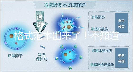 格式范本出來(lái)了！不知道出生證明遺失申請(qǐng)書怎么寫看這兒