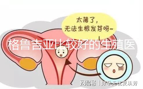 格魯吉亞比較好的生殖醫院是哪家，助孕成功率高還看這4家