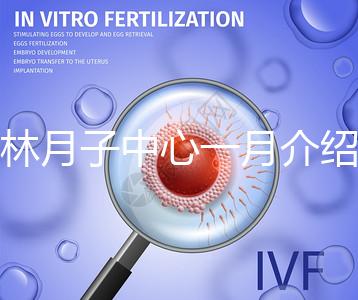 榆林月子中心一月介紹多少錢？不要錯過2024年橫山前十名