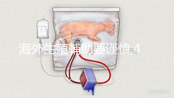 海外生殖輔助要謹慎,4個中介常用烏克蘭試管嬰兒騙局要當心