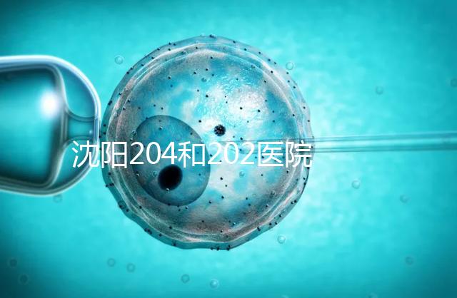 沈陽(yáng)204和202醫(yī)院哪個(gè)好?東港市做過(guò)試管嬰兒的姐妹這樣說(shuō)