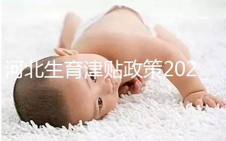 河北生育津貼政策2024，想造石家莊怎么算、多久到賬戳這
