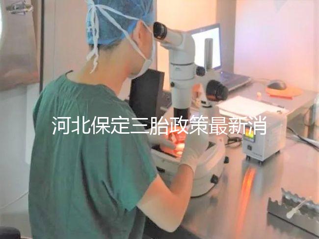 河北保定三胎政策最新消息2024，不造補貼怎么申請看過來
