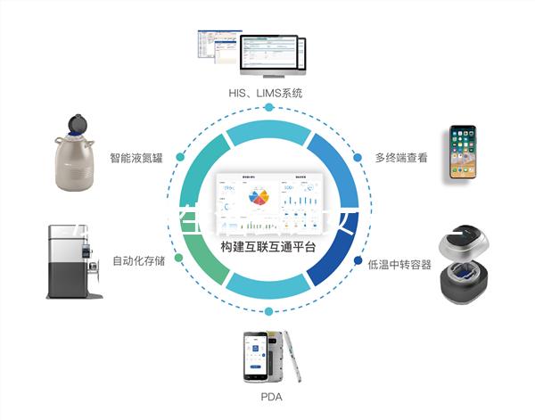 沒(méi)有性生活會(huì)讓女人月經(jīng)不調(diào),提前衰老嗎?