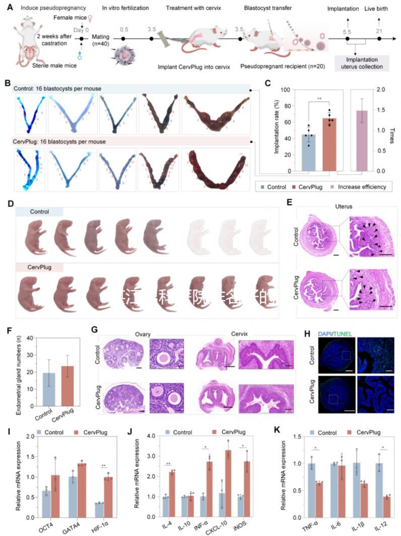 湛江男科醫院排名好的醫院分享,2024廣醫大附院上榜