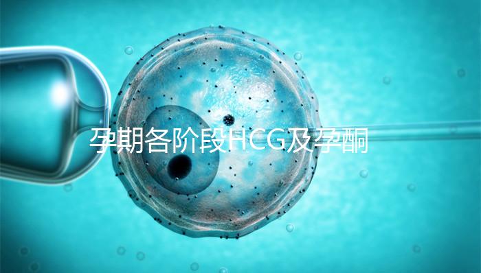 孕期各階段HCG及孕酮對(duì)照表,孕初期就要評(píng)估懷孕指標(biāo)