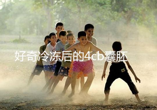 好奇冷凍后的4cb囊胚移植幾天著床看這，第七天別還不敢測