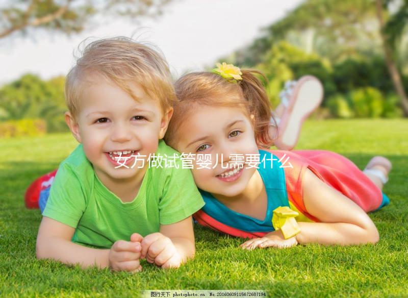 女方做試管嬰兒需要什么證件