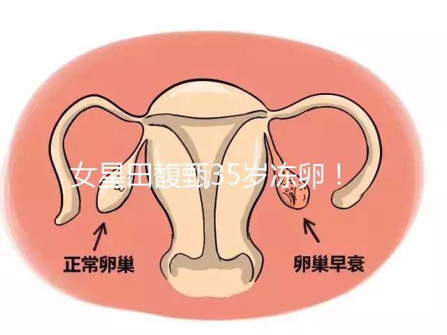 女星田馥甄35歲凍卵！揭秘你不知道的明星凍卵過程